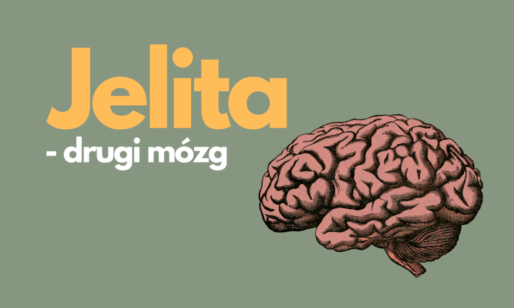 Jelita nasz drugi mózg